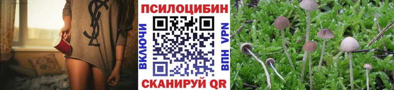 Галлюциногенные грибы MAGIC MUSHROOMS  сколько стоит  Ворсма 